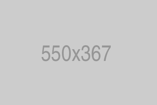 dct-pet-care-3