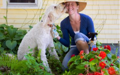 Plant a Pet-Friendly Garden