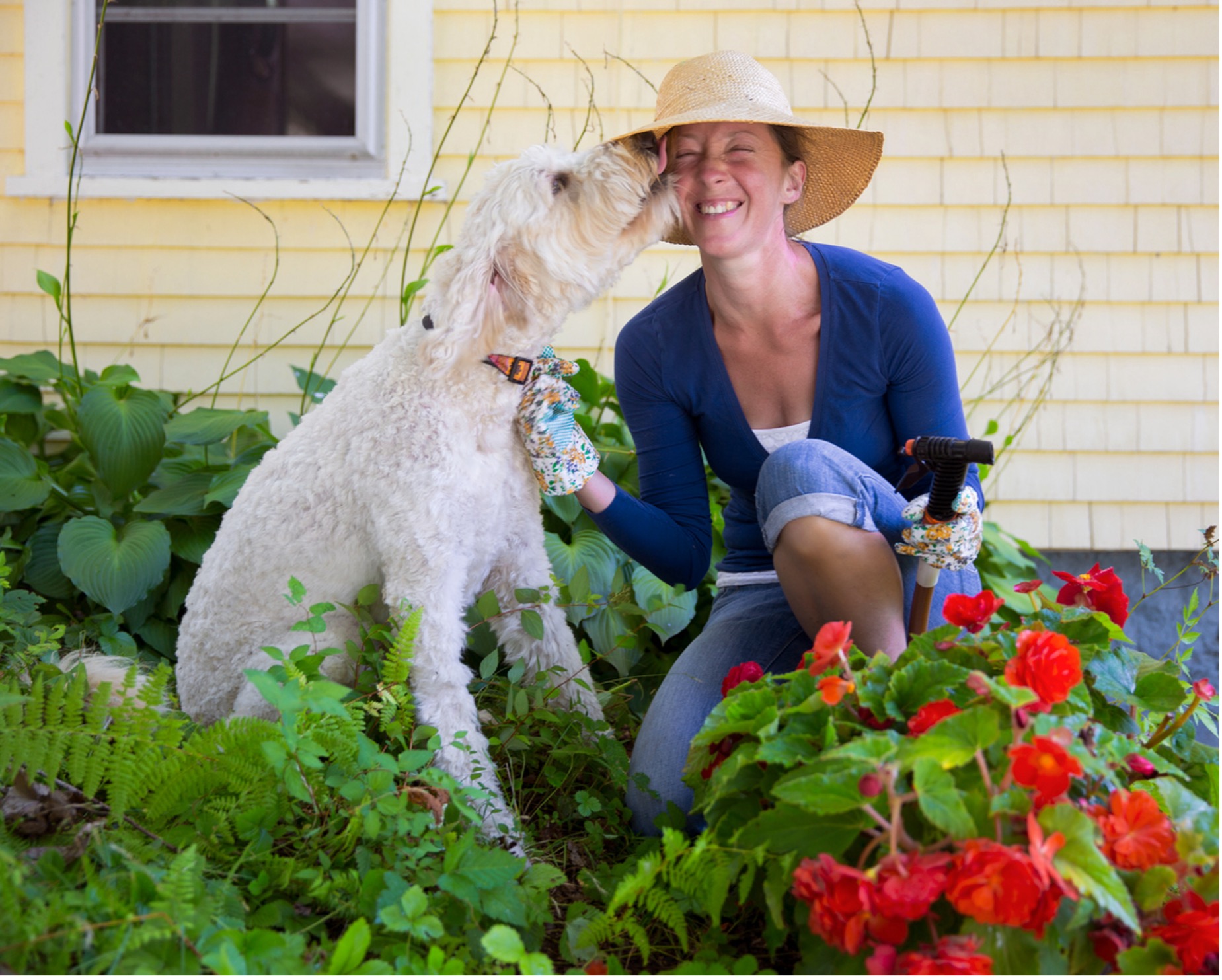 A picture containing person being licked by a dog in a pet friendly garden
