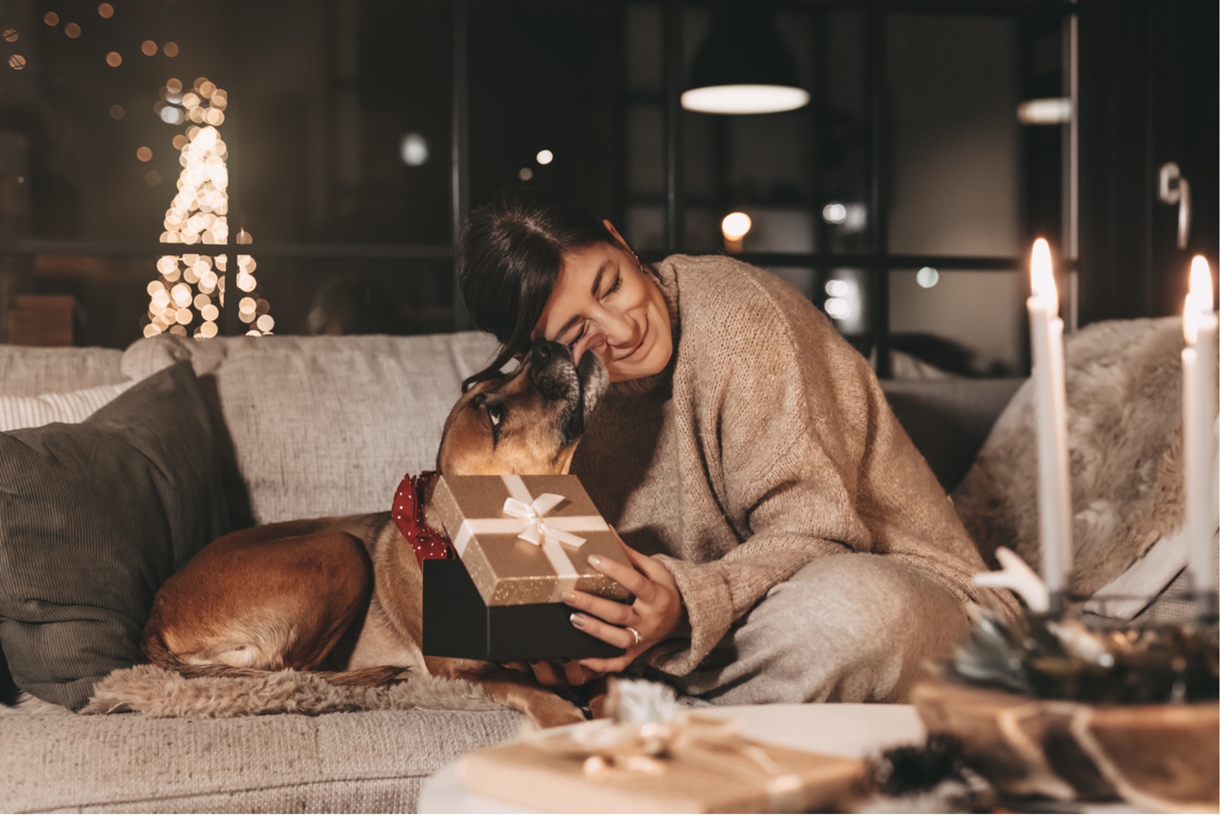 A person and dog sitting on a couch with a present, Aspen Vet Clinic's Guide to Christmas Gifts for Your Pets