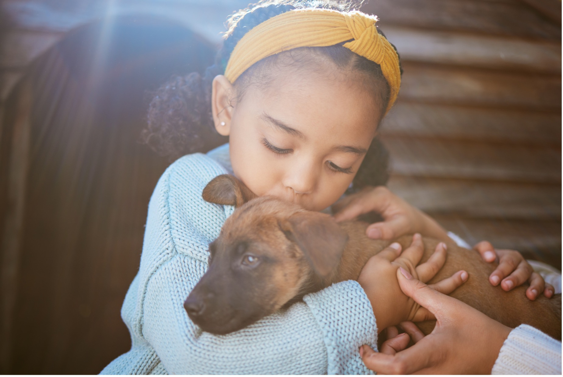 A child holding a puppy dog, The Subtle Signs of Parvo in Puppies